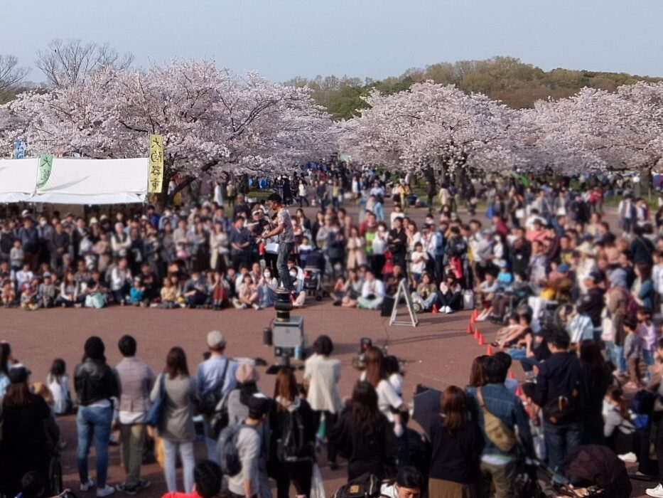 大道芸人 派遣・出張 しゅうちょう